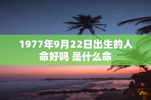 1977年9月22日出生的人命好吗 是什么命