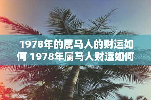 1978年的属马人的财运如何 1978年属马人财运如何