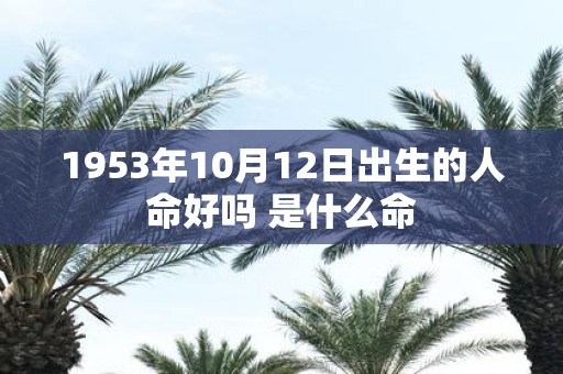 1953年10月12日出生的人命好吗 是什么命