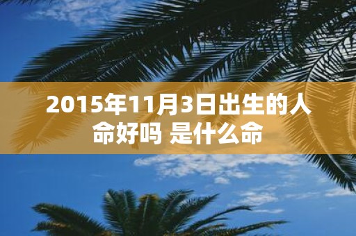 2015年11月3日出生的人命好吗 是什么命