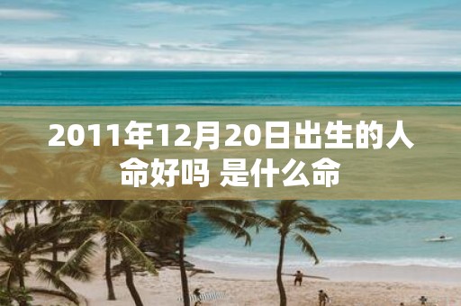 2011年12月20日出生的人命好吗 是什么命