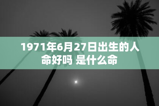 1971年6月27日出生的人命好吗 是什么命