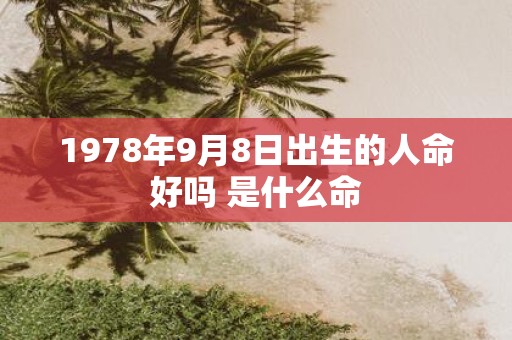 1978年9月8日出生的人命好吗 是什么命