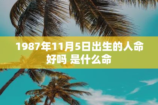 1987年11月5日出生的人命好吗 是什么命