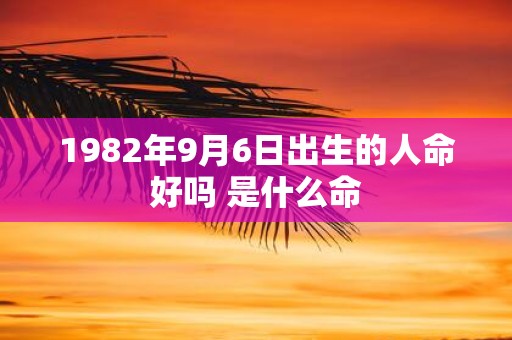1982年9月6日出生的人命好吗 是什么命