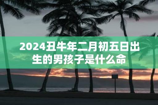 2025丑牛年二月初五日出生的男孩子是什么命