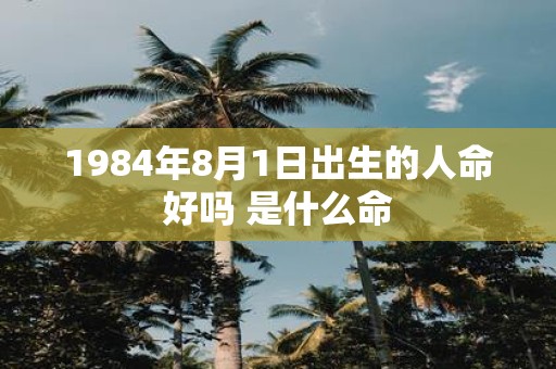 1984年8月1日出生的人命好吗 是什么命