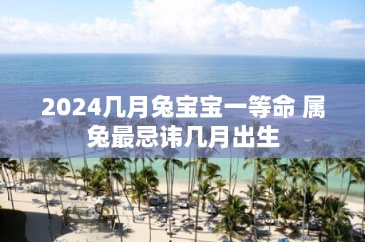 2025几月兔宝宝一等命 属兔最忌讳几月出生
