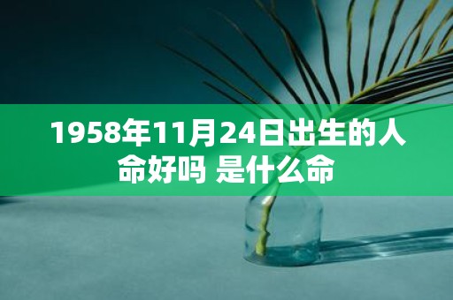 1958年11月24日出生的人命好吗 是什么命