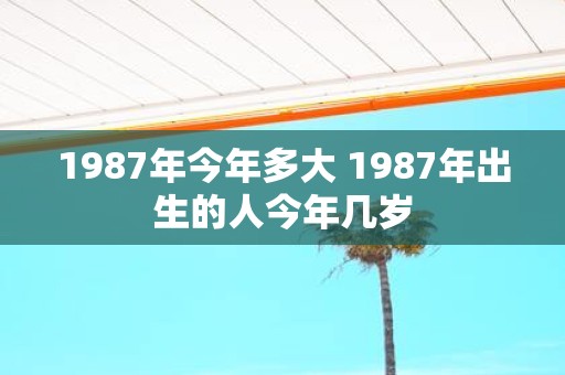 1987年今年多大 1987年出生的人今年几岁