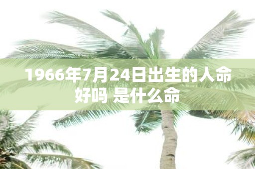 1966年7月24日出生的人命好吗 是什么命