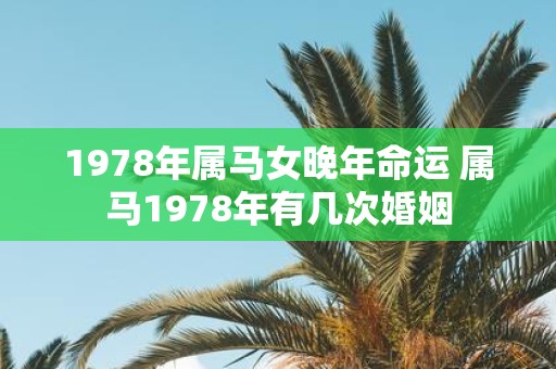 1978年属马女晚年命运 属马1978年有几次婚姻