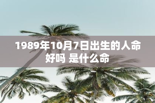 1989年10月7日出生的人命好吗 是什么命