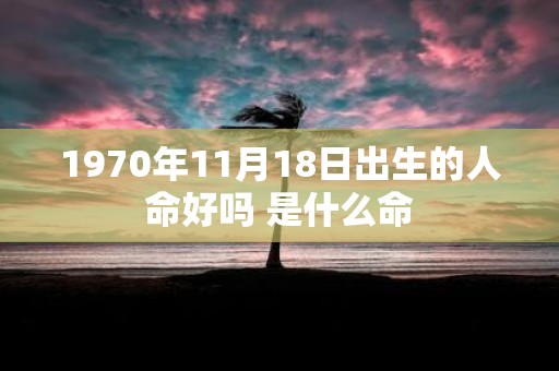 1970年11月18日出生的人命好吗 是什么命