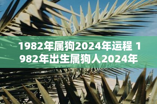 1982年属狗2025年运程 1982年出生属狗人2025年每月运势