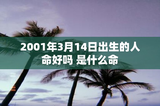 2001年3月14日出生的人命好吗 是什么命