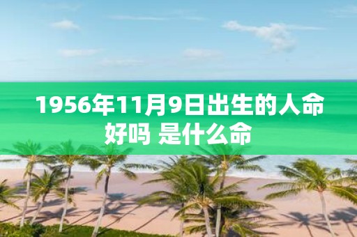 1956年11月9日出生的人命好吗 是什么命