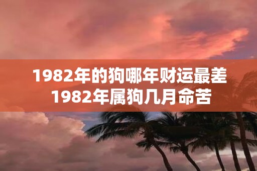 1982年的狗哪年财运最差 1982年属狗几月命苦