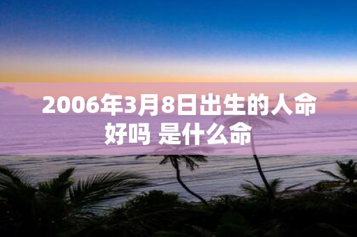 2006年3月8日出生的人命好吗 是什么命