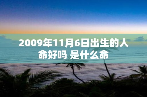 2009年11月6日出生的人命好吗 是什么命