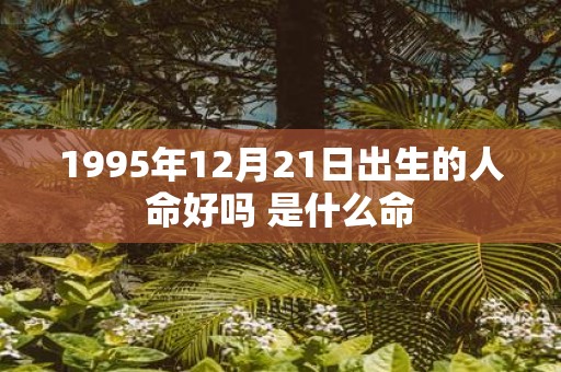 1995年12月21日出生的人命好吗 是什么命