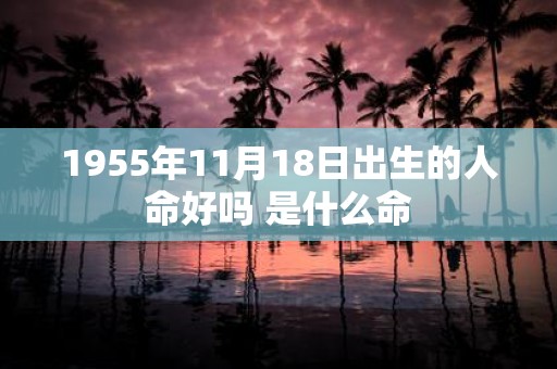 1955年11月18日出生的人命好吗 是什么命