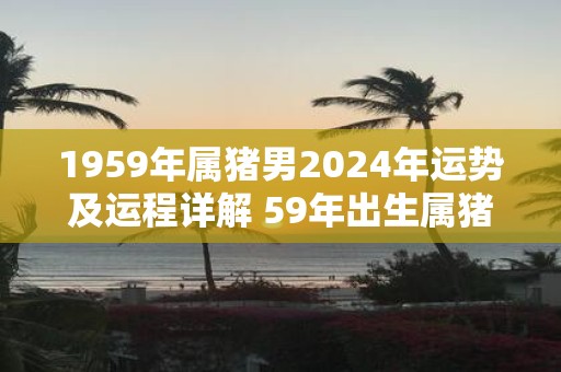 1959年属猪男2025年运势及运程详解 59年出生属猪人2025全年每月运势男性