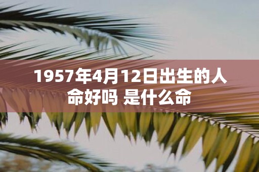 1957年4月12日出生的人命好吗 是什么命