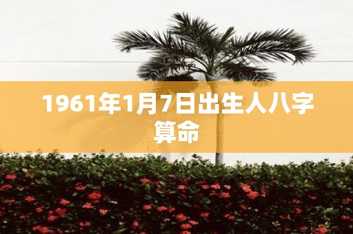 1961年1月7日出生人八字算命