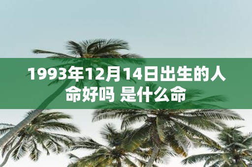 1993年12月14日出生的人命好吗 是什么命