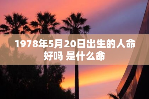 1978年5月20日出生的人命好吗 是什么命