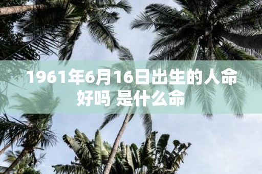 1961年6月16日出生的人命好吗 是什么命