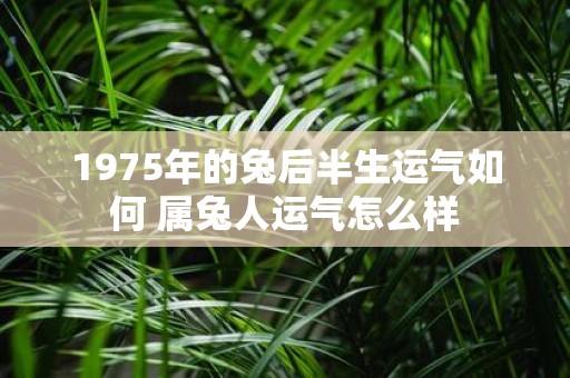 1975年的兔后半生运气如何 属兔人运气怎么样