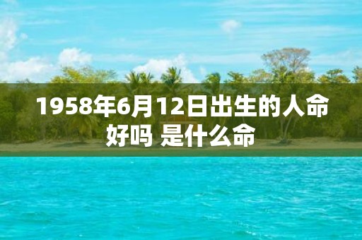 1958年6月12日出生的人命好吗 是什么命