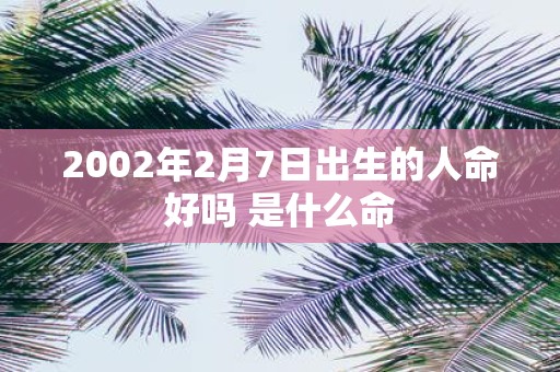 2002年2月7日出生的人命好吗 是什么命