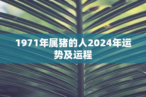 1971年属猪的人2025年运势及运程