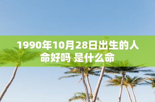 1990年10月28日出生的人命好吗 是什么命
