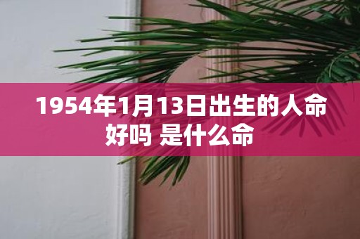 1954年1月13日出生的人命好吗 是什么命