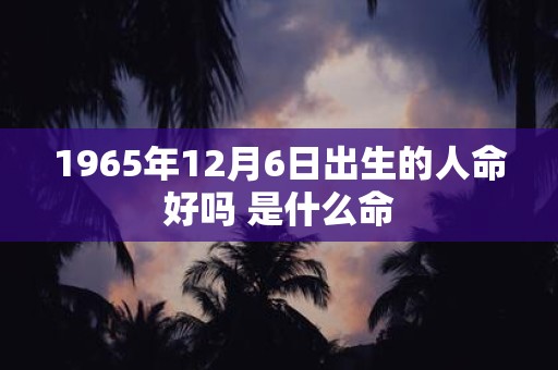1965年12月6日出生的人命好吗 是什么命