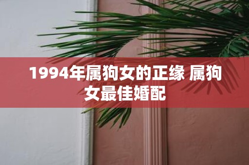 1994年属狗女的正缘 属狗女最佳婚配