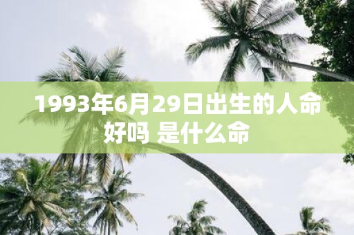 1993年6月29日出生的人命好吗 是什么命