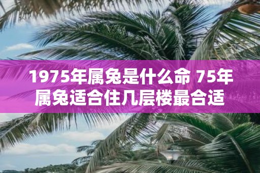 1975年属兔是什么命 75年属兔适合住几层楼最合适