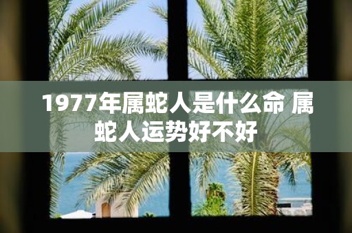 1977年属蛇人是什么命 属蛇人运势好不好