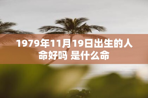 1979年11月19日出生的人命好吗 是什么命