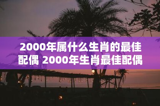 2000年属什么生肖的最佳配偶 2000年生肖最佳配偶是什么