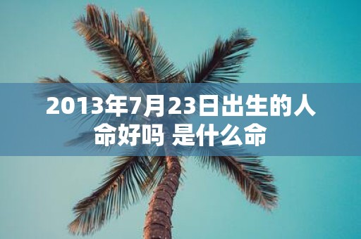 2013年7月23日出生的人命好吗 是什么命