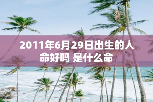 2011年6月29日出生的人命好吗 是什么命