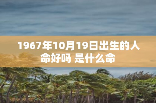 1967年10月19日出生的人命好吗 是什么命
