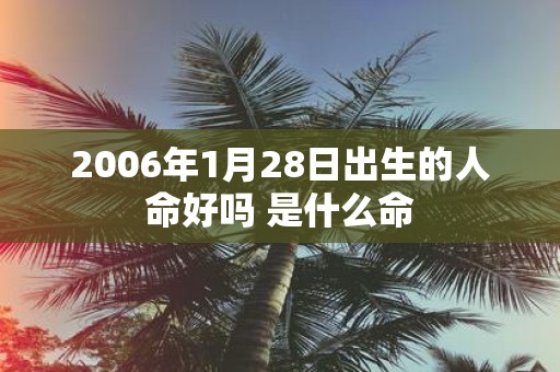 2006年1月28日出生的人命好吗 是什么命