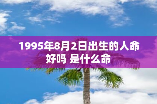 1995年8月2日出生的人命好吗 是什么命